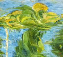'Lily Pads, Summer' by Reg Livermore